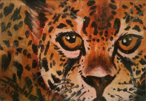 Cheetah Copyright Joanne Howard 2013