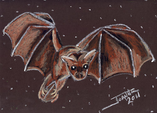 Little Brown Bat