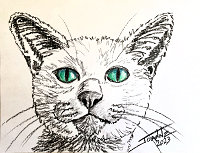 Cat Eyes copyright Joanne Howard 2023